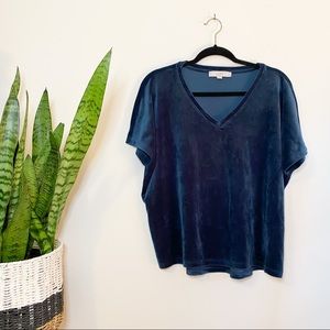 LOFT Velvet Blue Women’s Top
